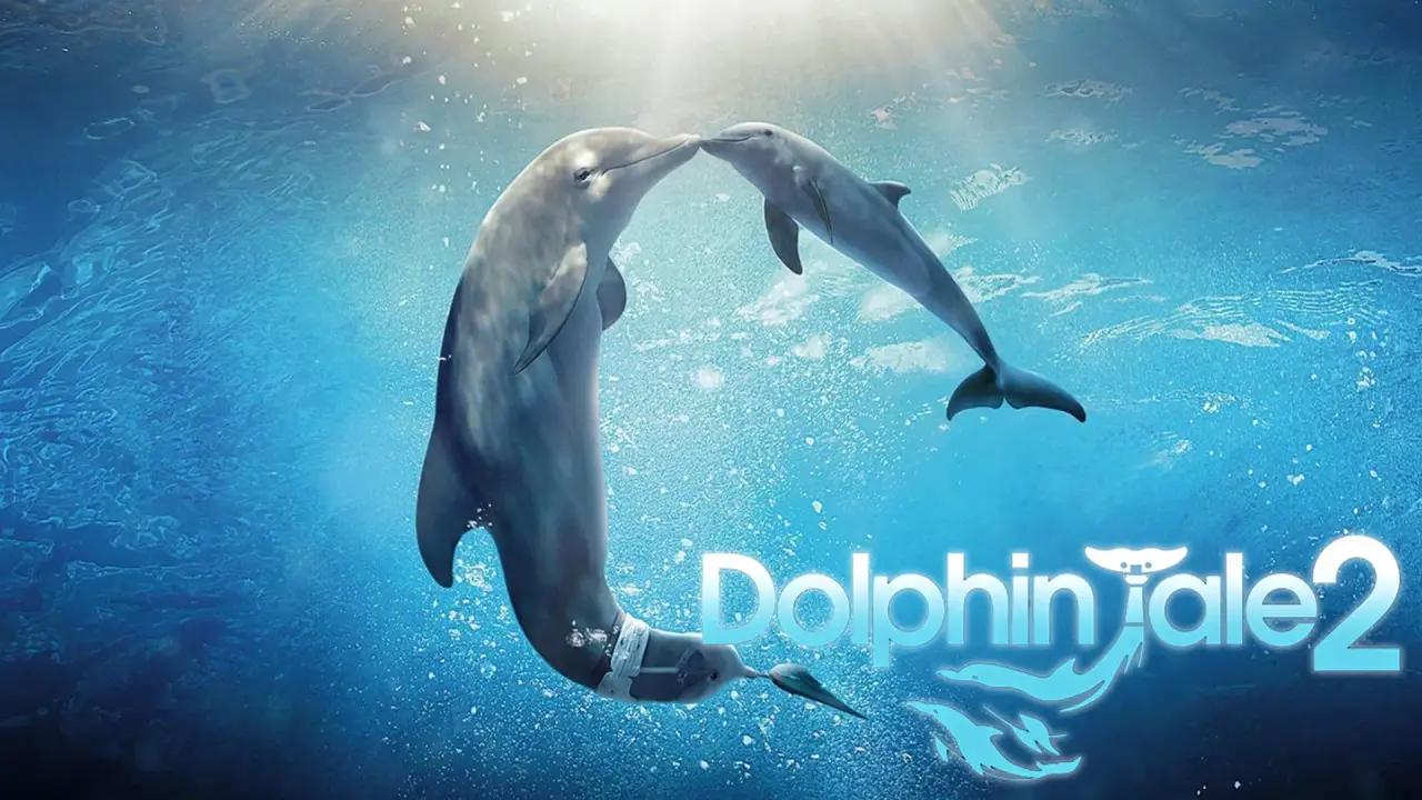 Mein Freund, der Delfin 2 hdfilme