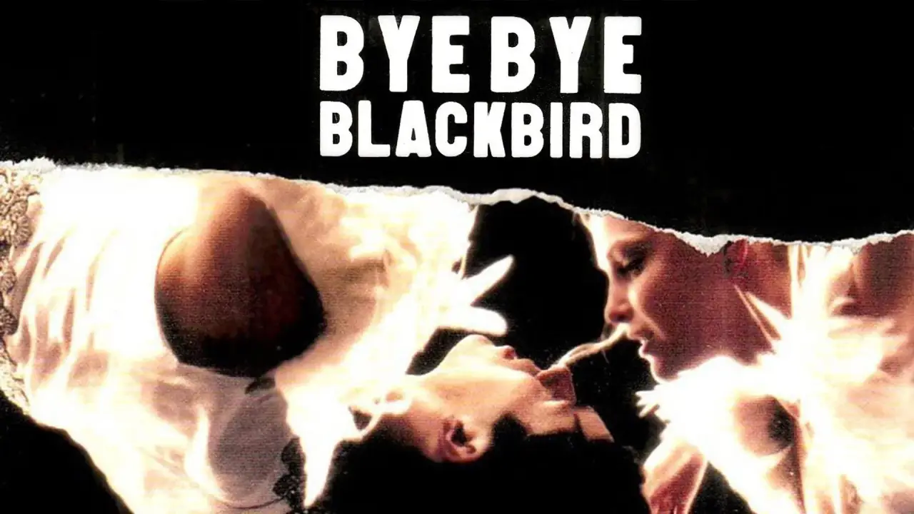 Bye Bye Blackbird hdfilme