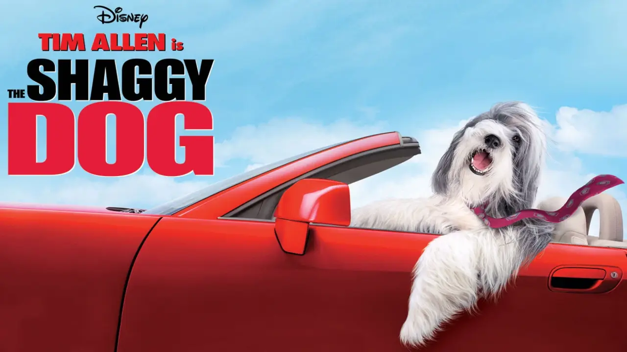 Shaggy Dog - Hör mal, wer da bellt hdfilme