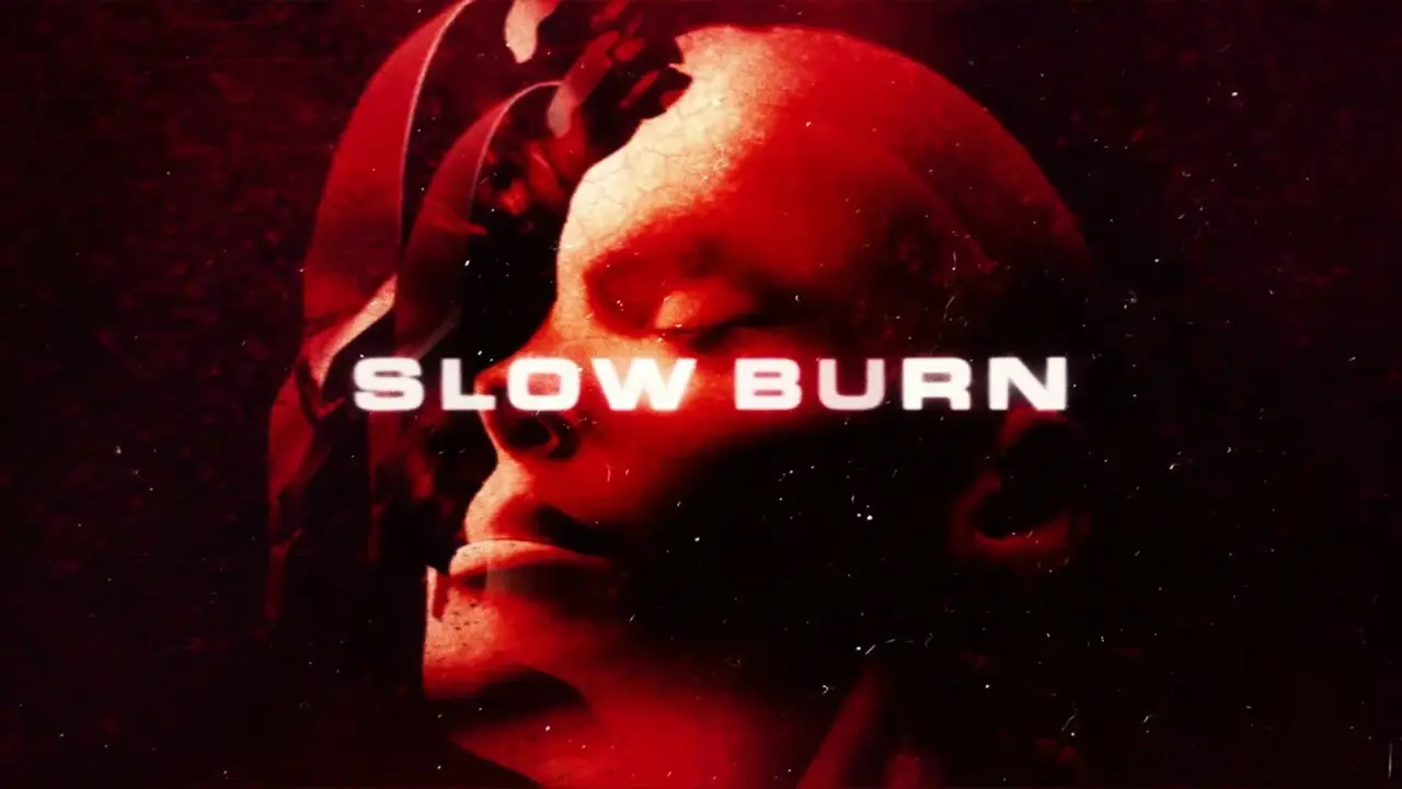 Slow Burn - Verführerische Falle hdfilme