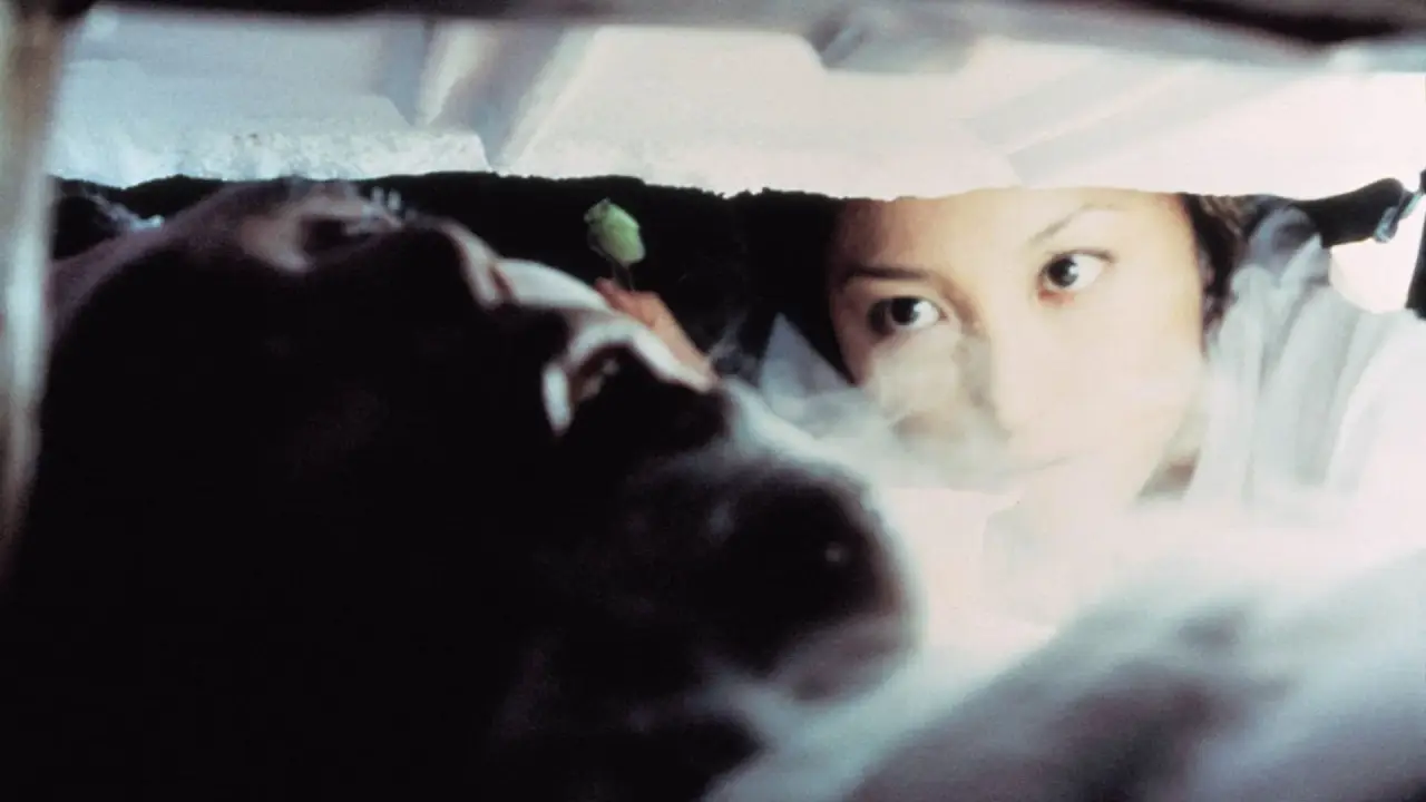 Freeze Me hdfilme