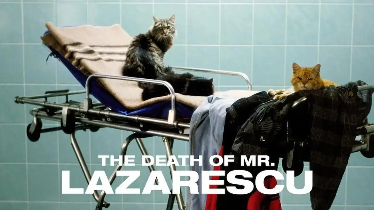 Der Tod des Herrn Lazarescu hdfilme