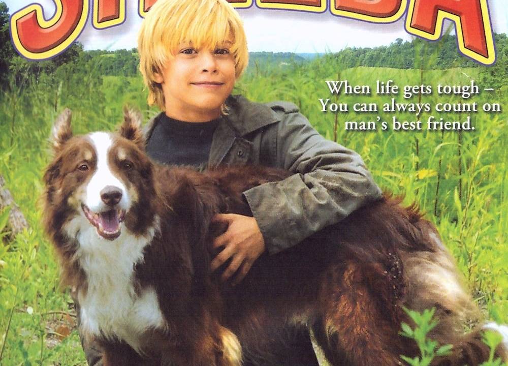 Cooper 2 - Der Hundeengel ist zurück! hdfilme