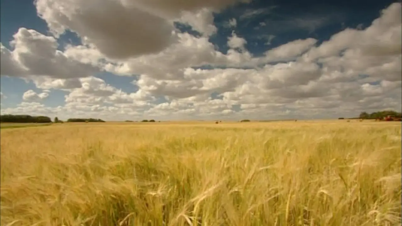 The Future of Food - Nichts ist, wie es schmeckt hdfilme