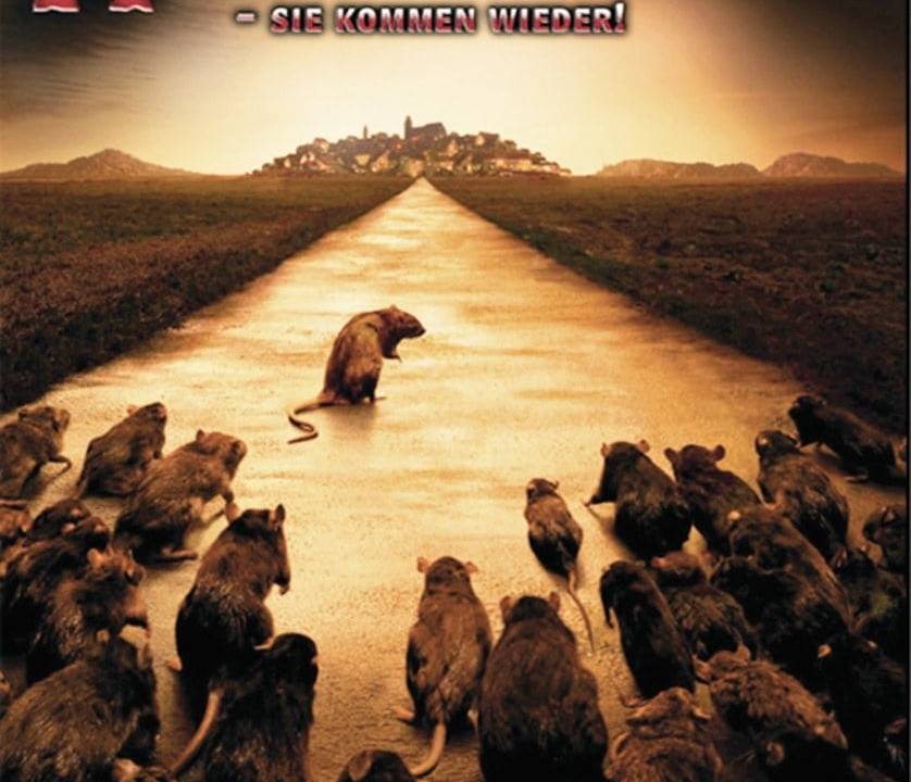 Ratten 2 - Sie kommen wieder! hdfilme