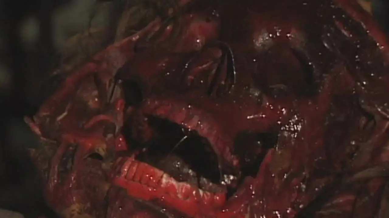 Bone Sickness hdfilme