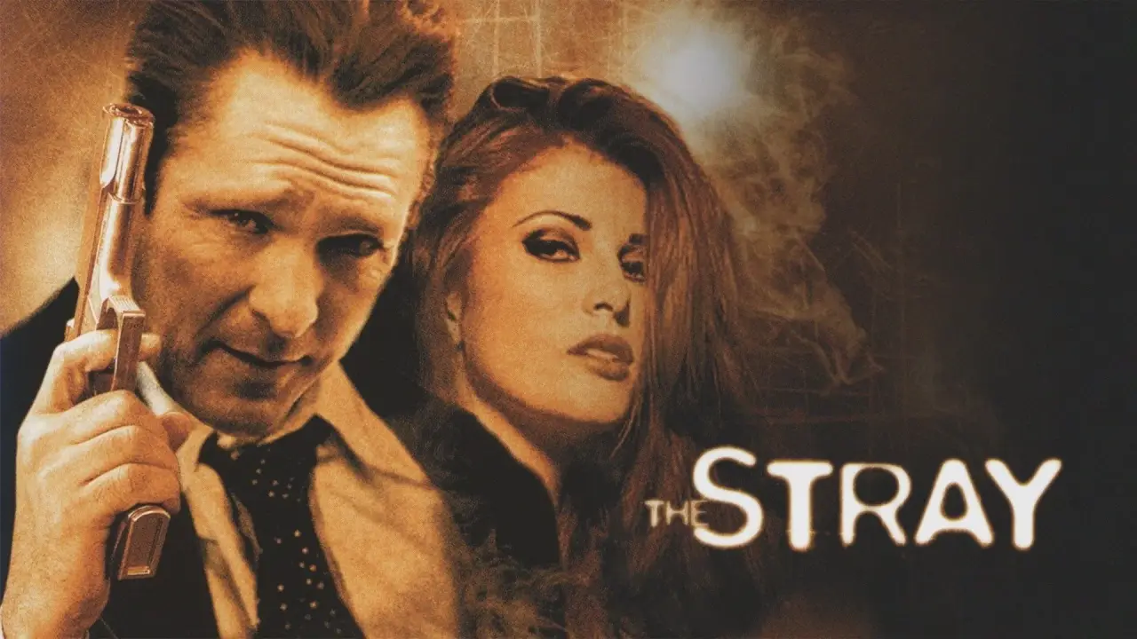 The Stray - Der Racheengel hdfilme