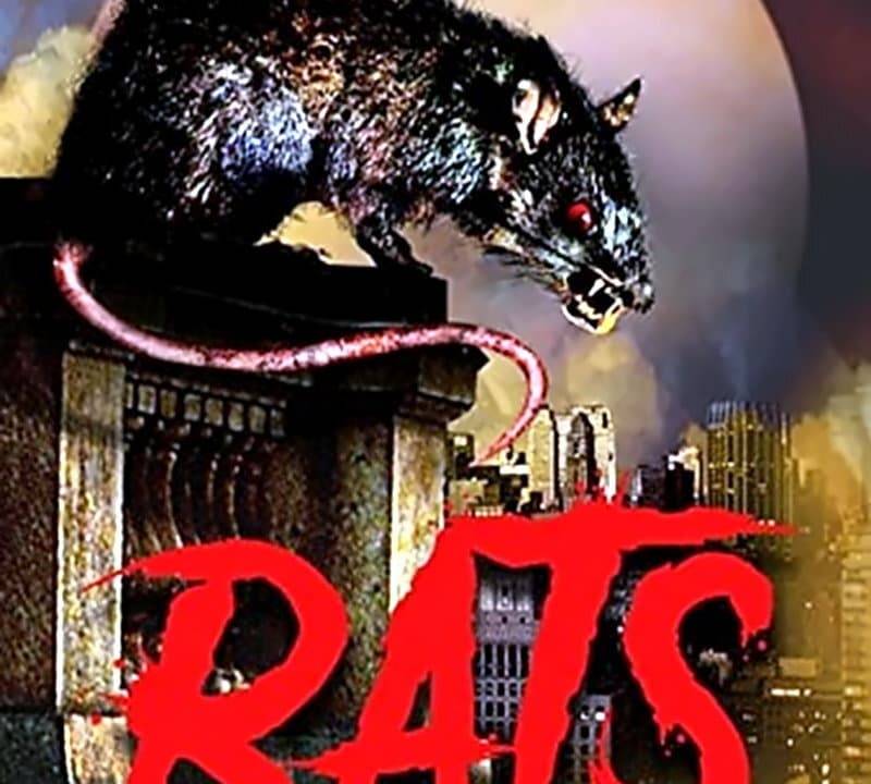 Rats - Mörderische Brut hdfilme