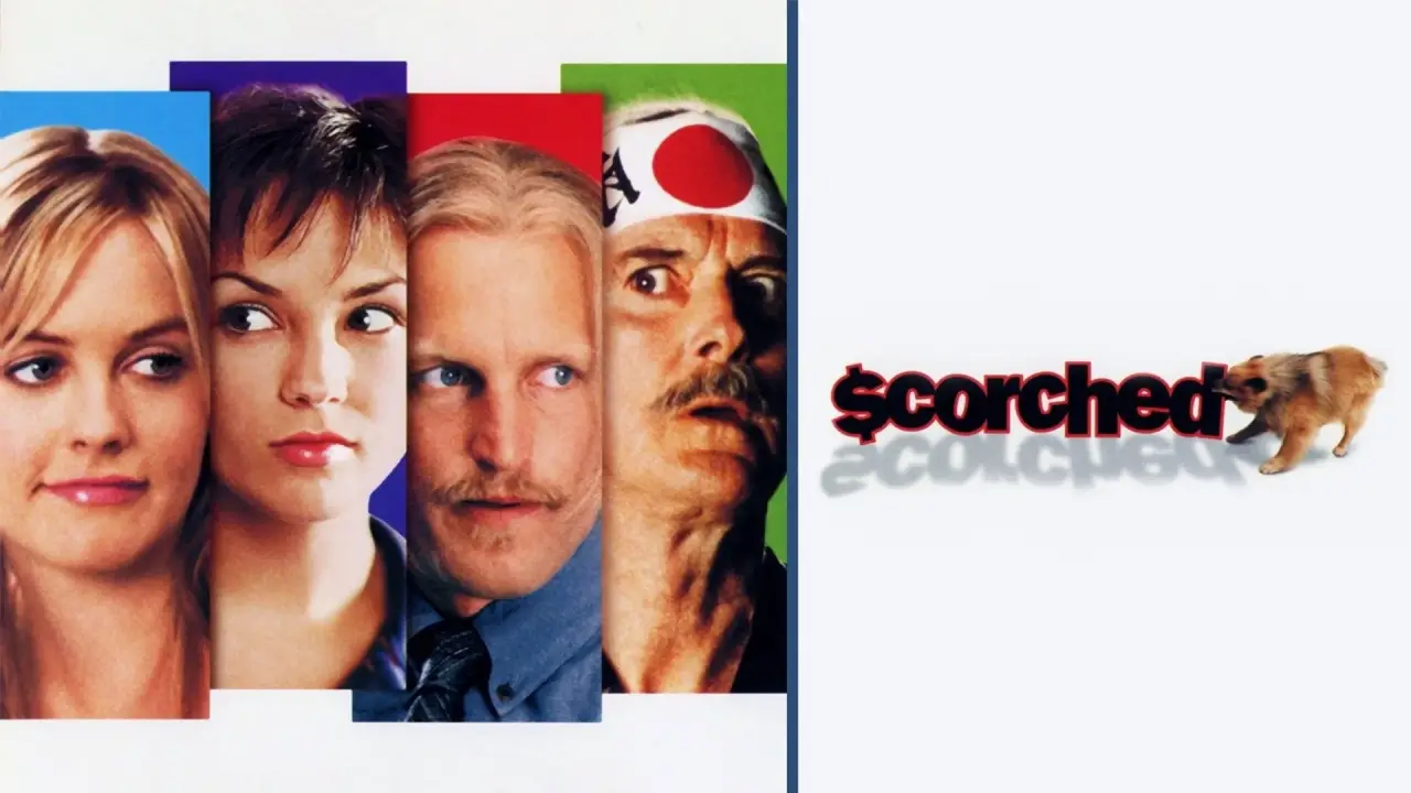 Abgezockt hdfilme