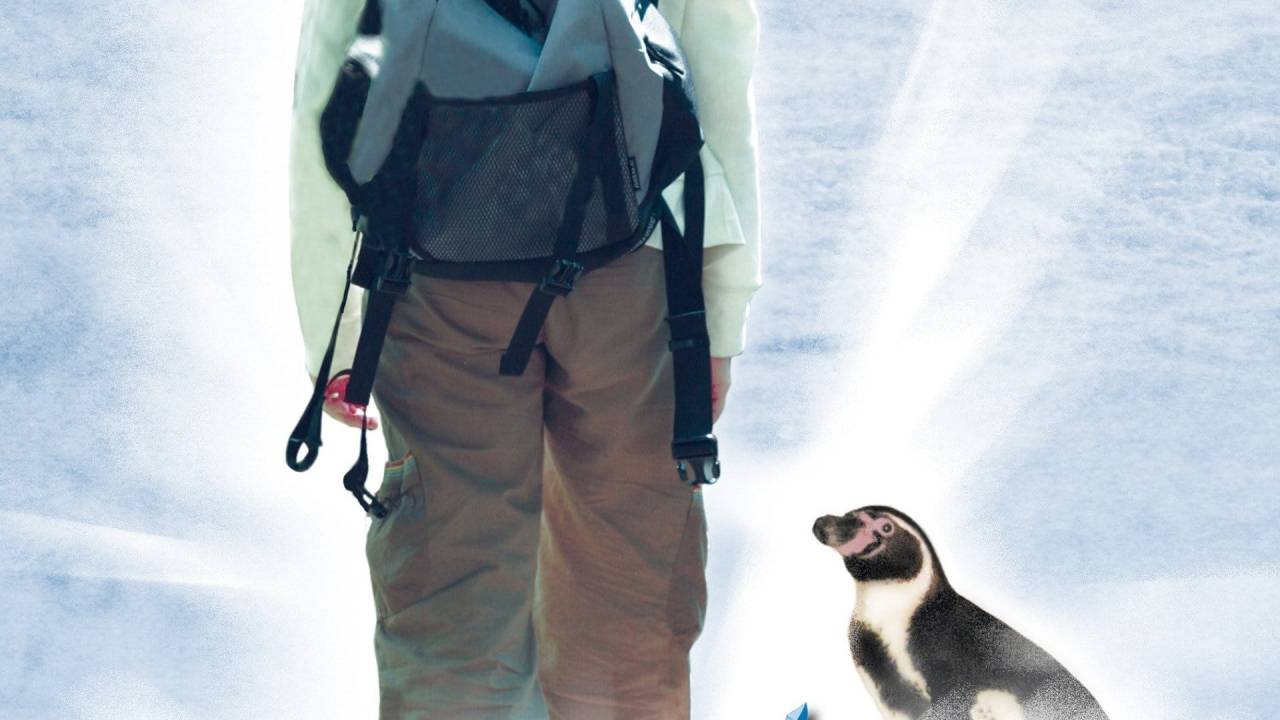 Amundsen der Pinguin hdfilme