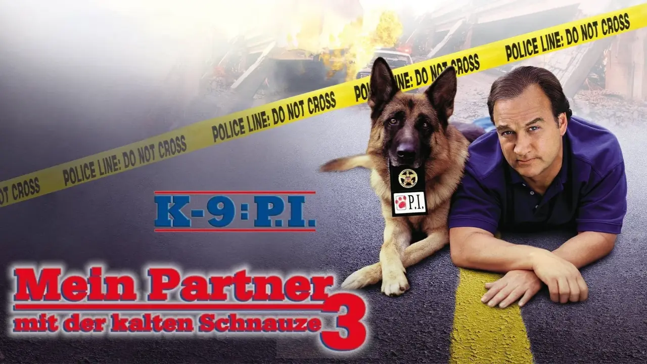 Mein Partner mit der kalten Schnauze 3 hdfilme