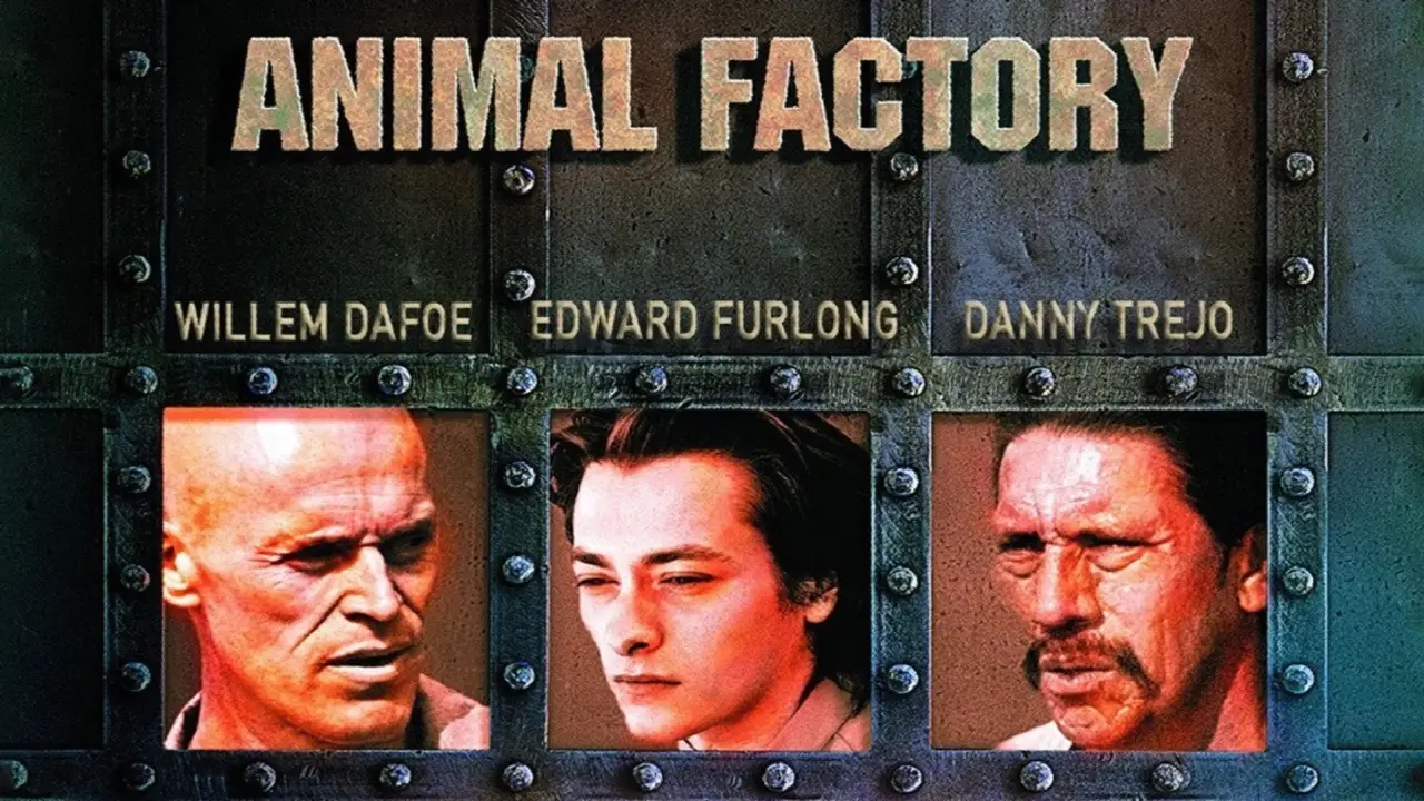 Animal Factory - Rache eines Verurteilten hdfilme