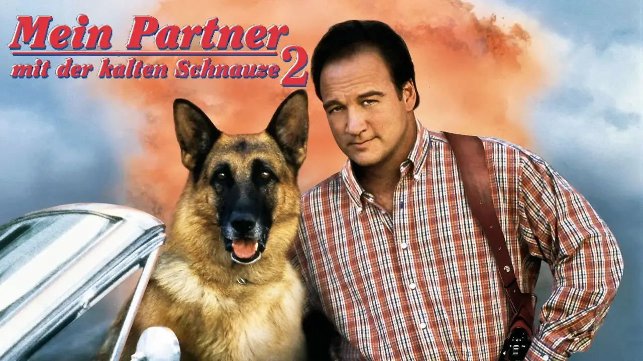 Mein Partner mit der kalten Schnauze 2 hdfilme