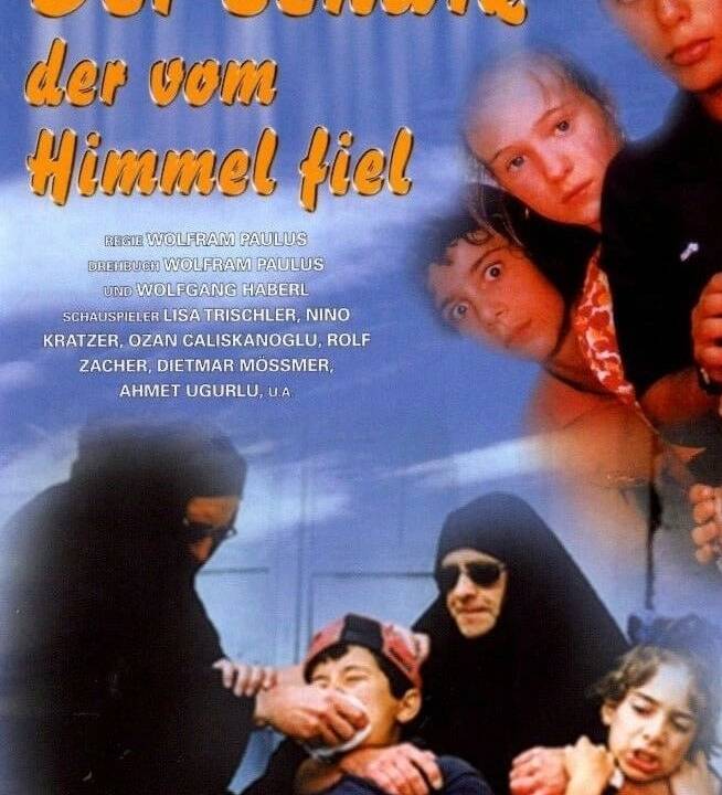 Der Schatz, der vom Himmel fiel hdfilme