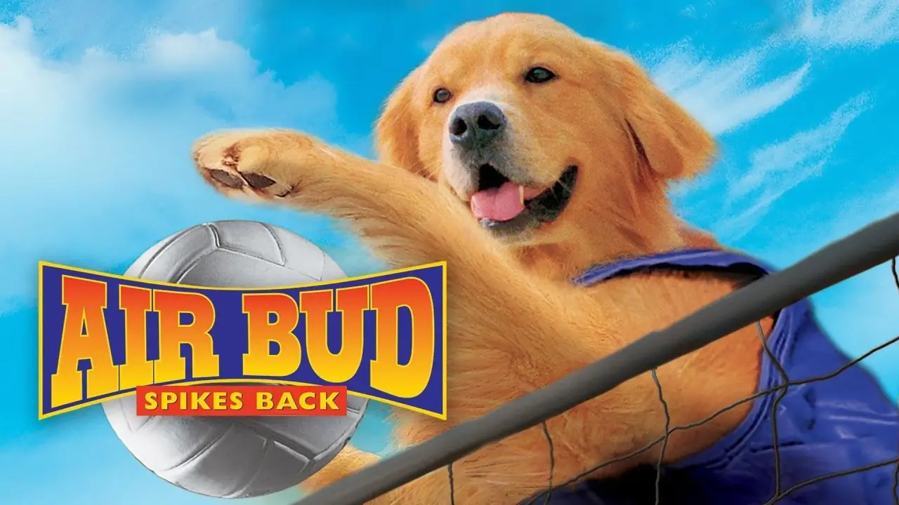 Air Bud 5 - Vier Pfoten schlagen auf hdfilme