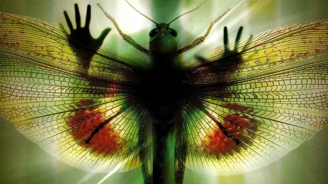 Insects - Die Brut aus dem All hdfilme