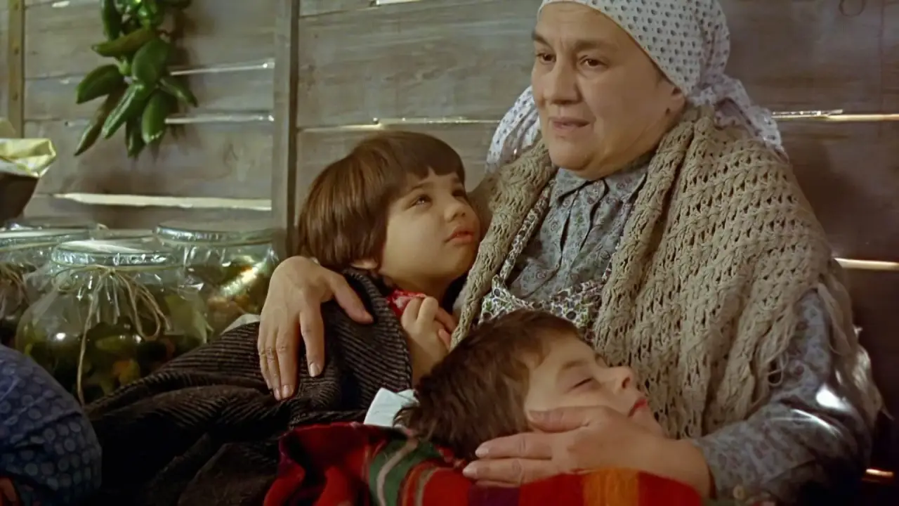 Zug des Lebens hdfilme