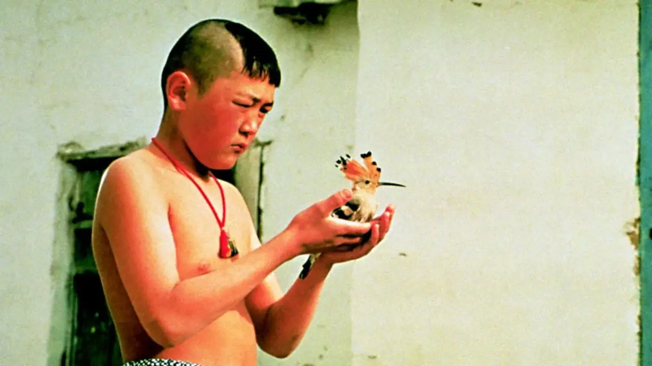 Der Fremde Sohn hdfilme