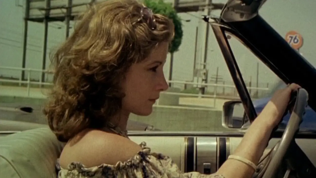 Do You Remember Laurie Zimmer? hdfilme