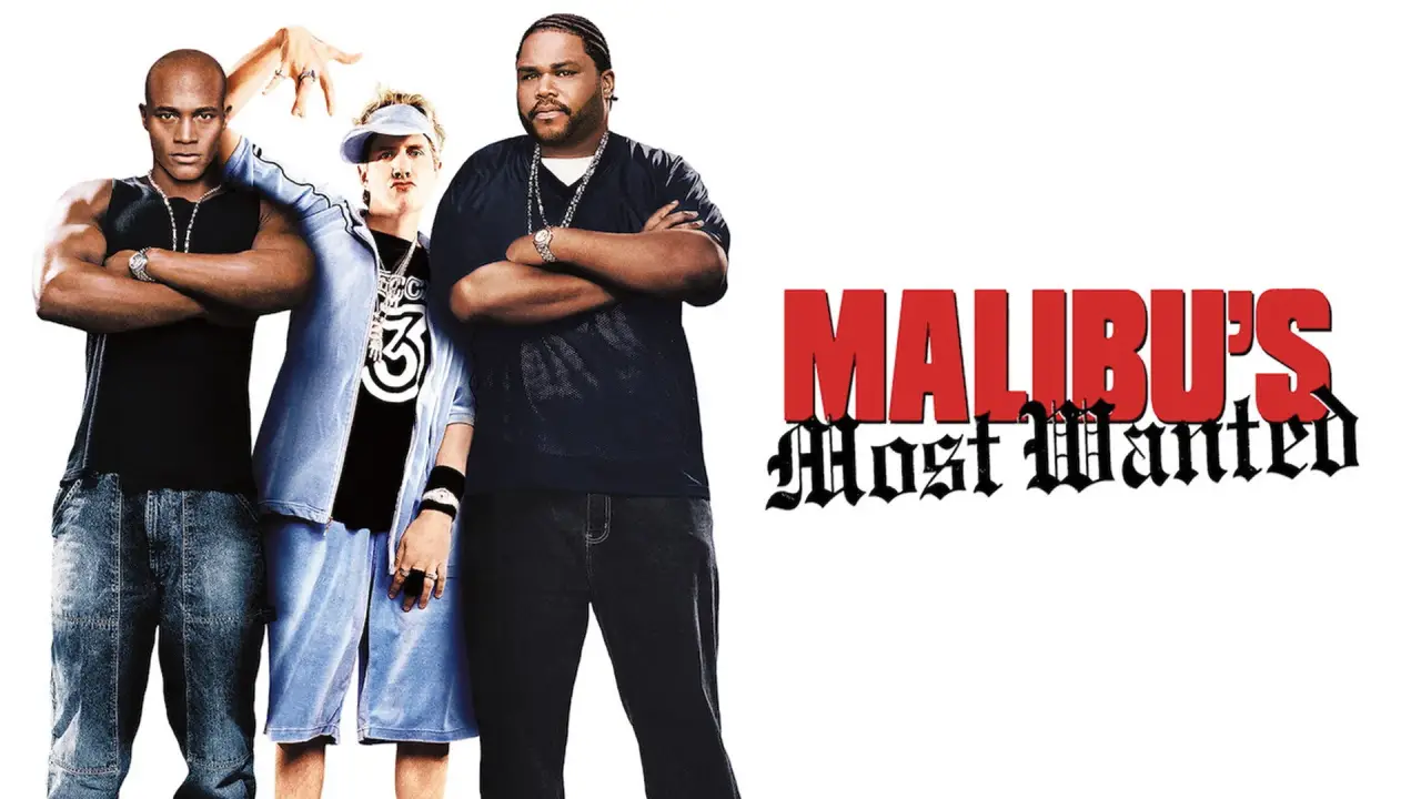Malibu's Most Wanted hdfilme