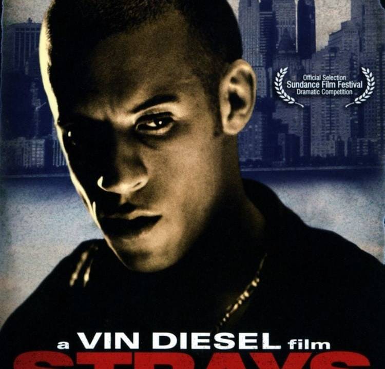 Strays – Lebe Dein Leben hdfilme
