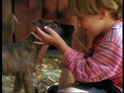 Hilfe mein Hund spricht hdfilme