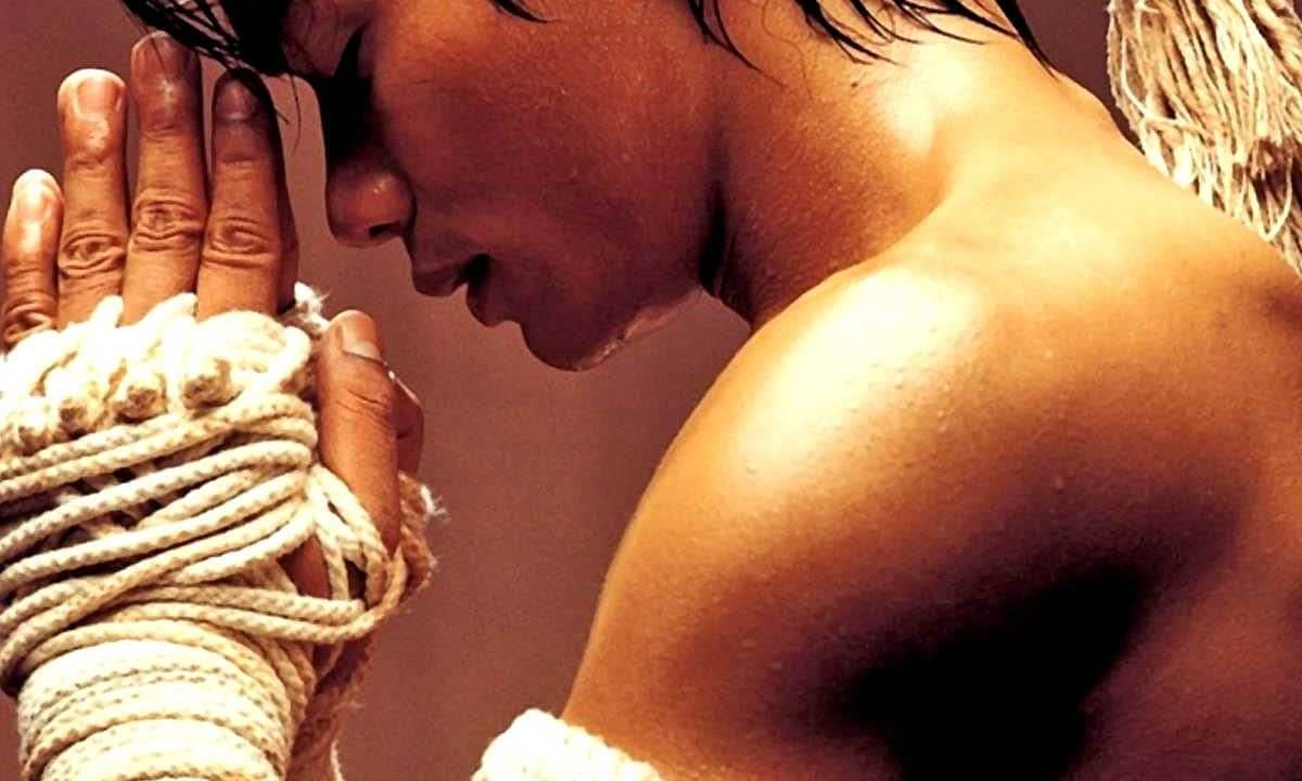 Fighters Blood hdfilme