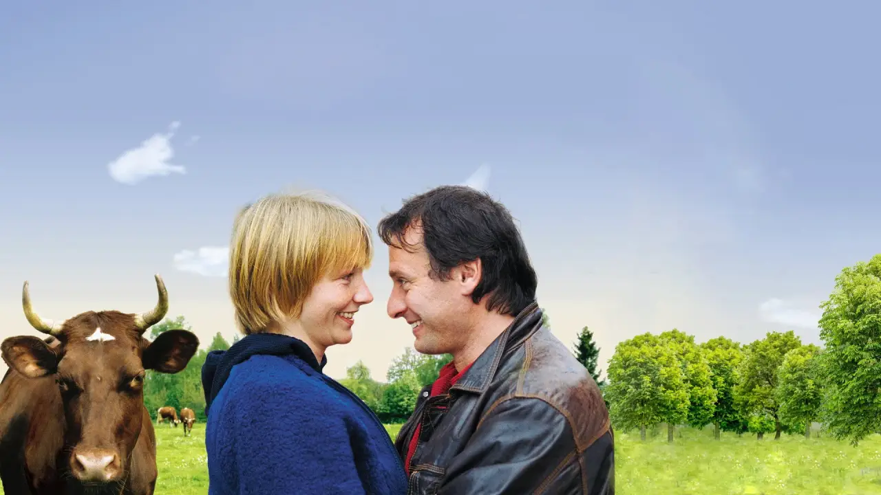 Der Typ vom Grab nebenan hdfilme