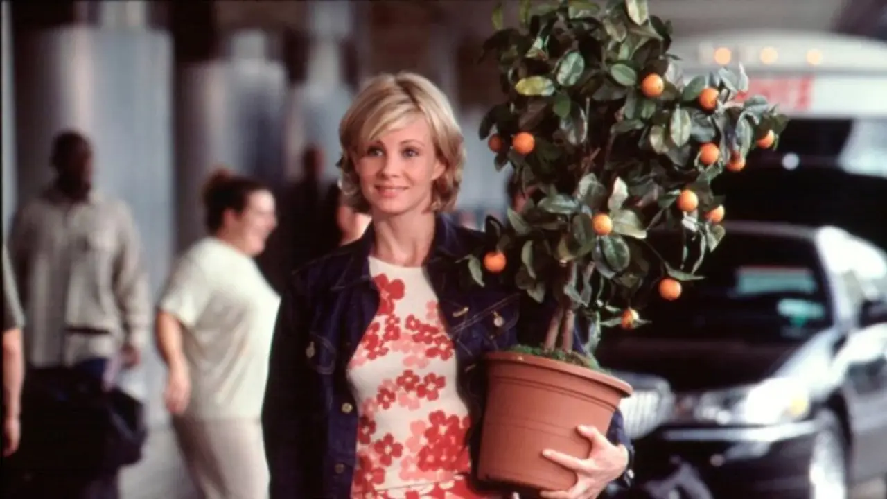 Alle lieben Lucy hdfilme