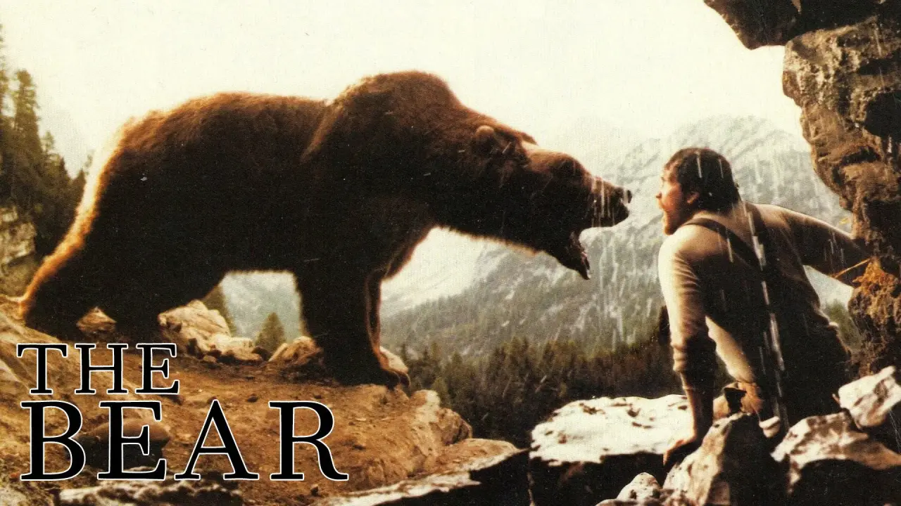 Der Bär hdfilme