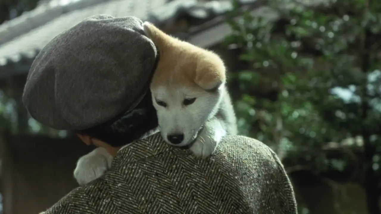 Hachiko - Wahre Freundschaft währt ewig hdfilme