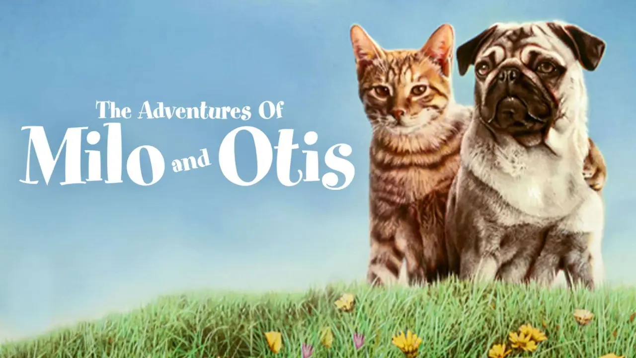 Miez und Mops - Zwei tierische Freunde hdfilme