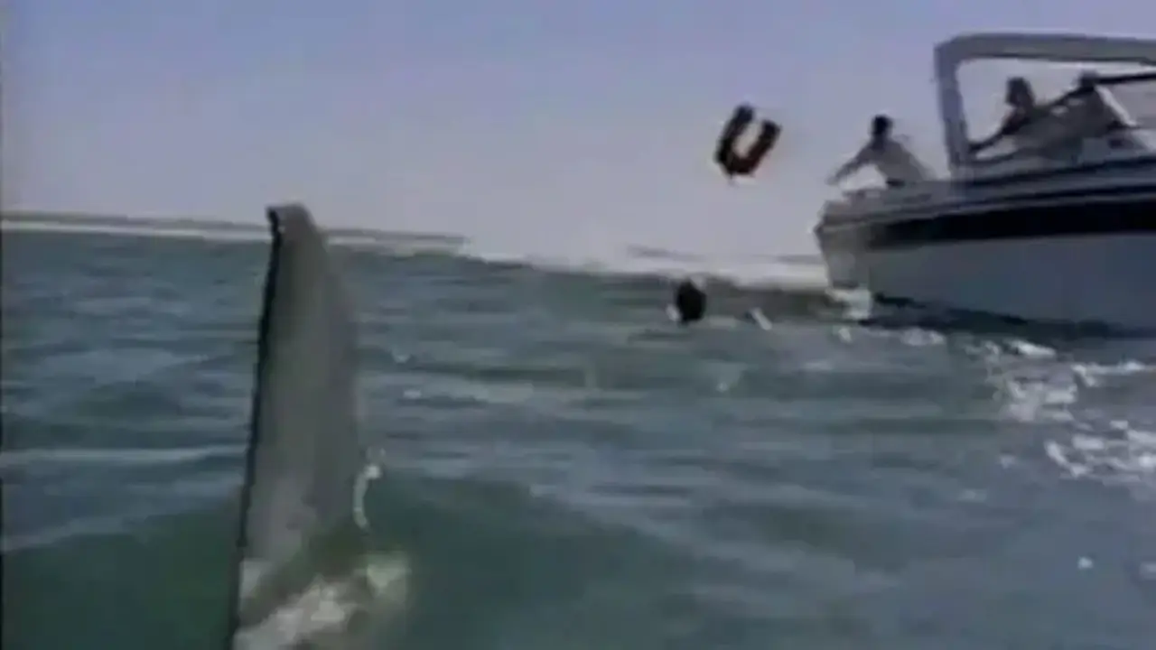 Shark's Paradise hdfilme