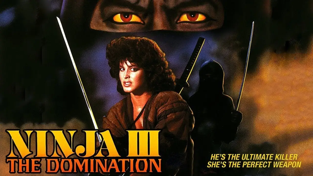 Die Herrschaft der Ninja hdfilme