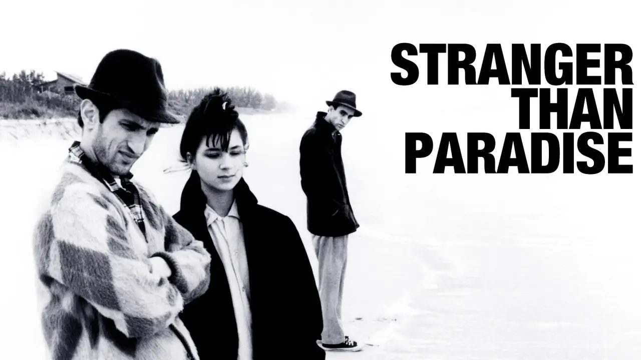 Stranger Than Paradise hdfilme