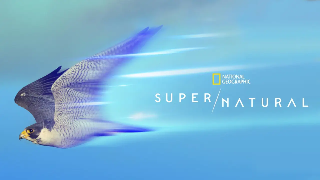 Super/Natural hdfilme