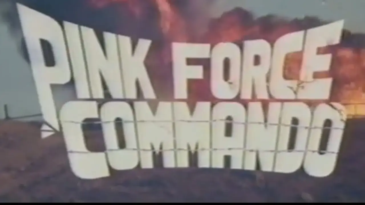 Ninja Fighters hdfilme