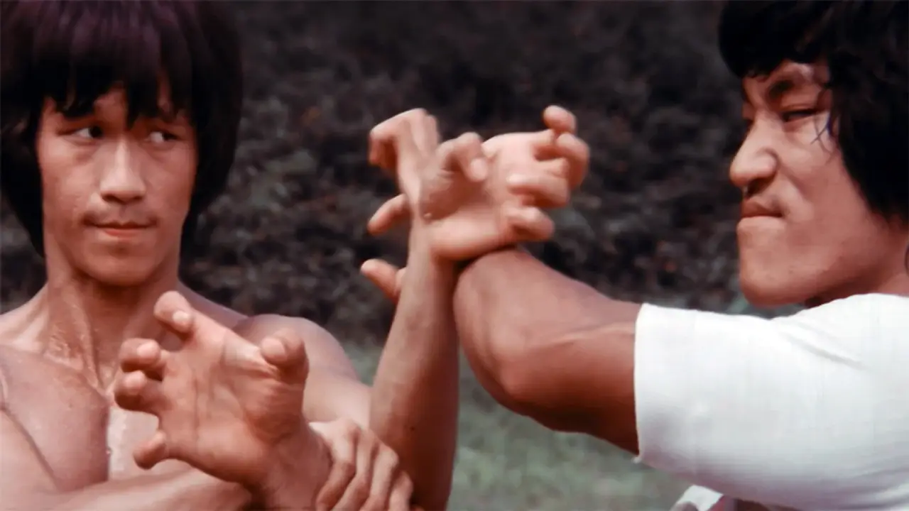 Bruce Lee - Seine Erben nehmen Rache hdfilme