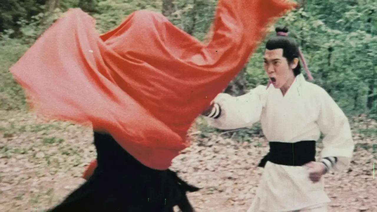 Die Silberfaust der Shaolin hdfilme