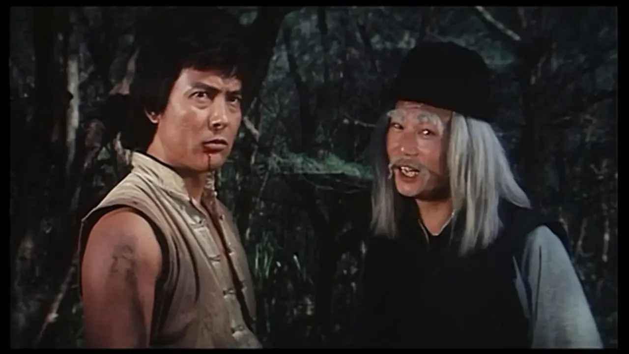 Der Drunken-Master schlägt wieder zu hdfilme