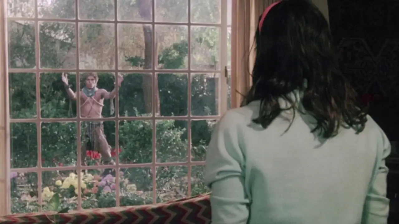 Ich hab' dir nie einen Rosengarten versprochen hdfilme
