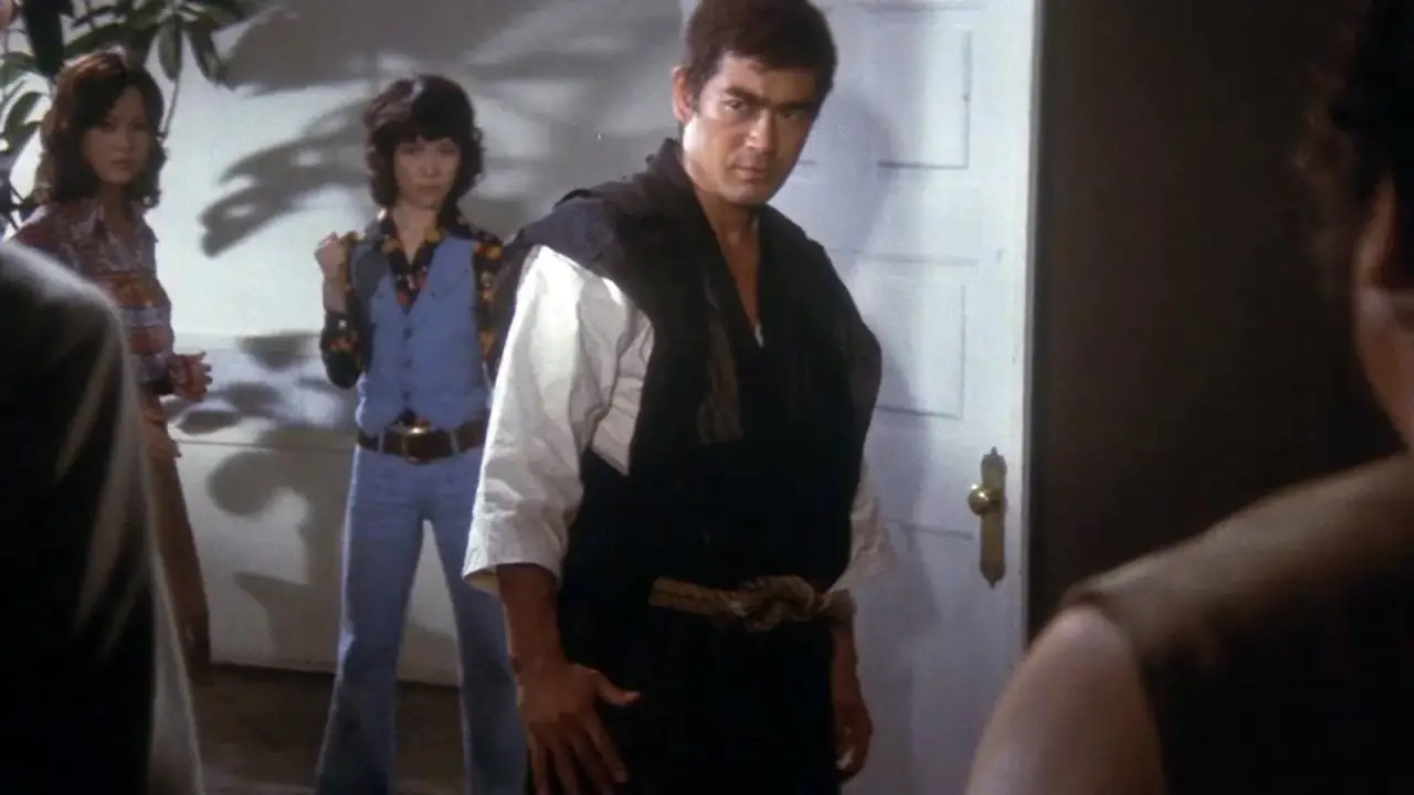 Die Karate-Tiger hdfilme