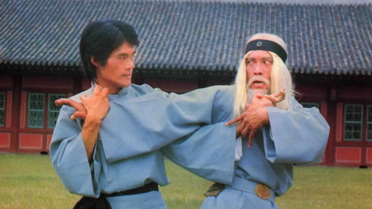 Die Zwillingsbrüder von Bruce Lee hdfilme