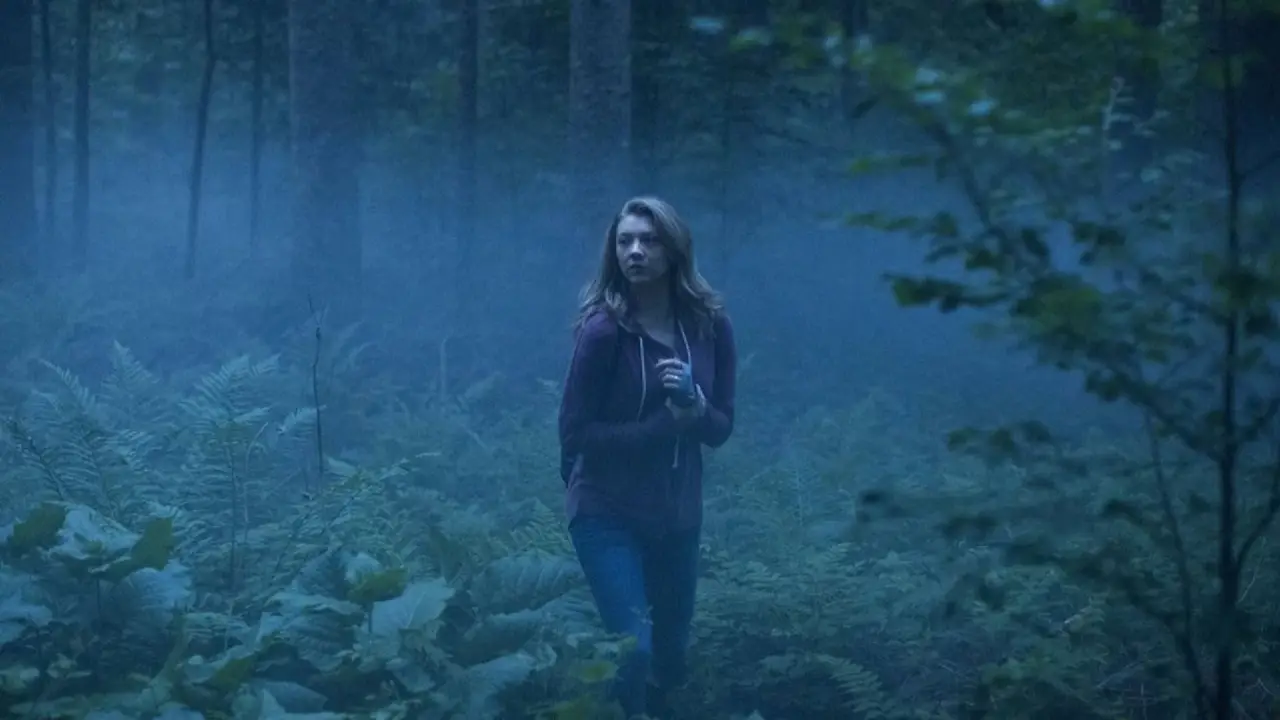Im Wald hdfilme