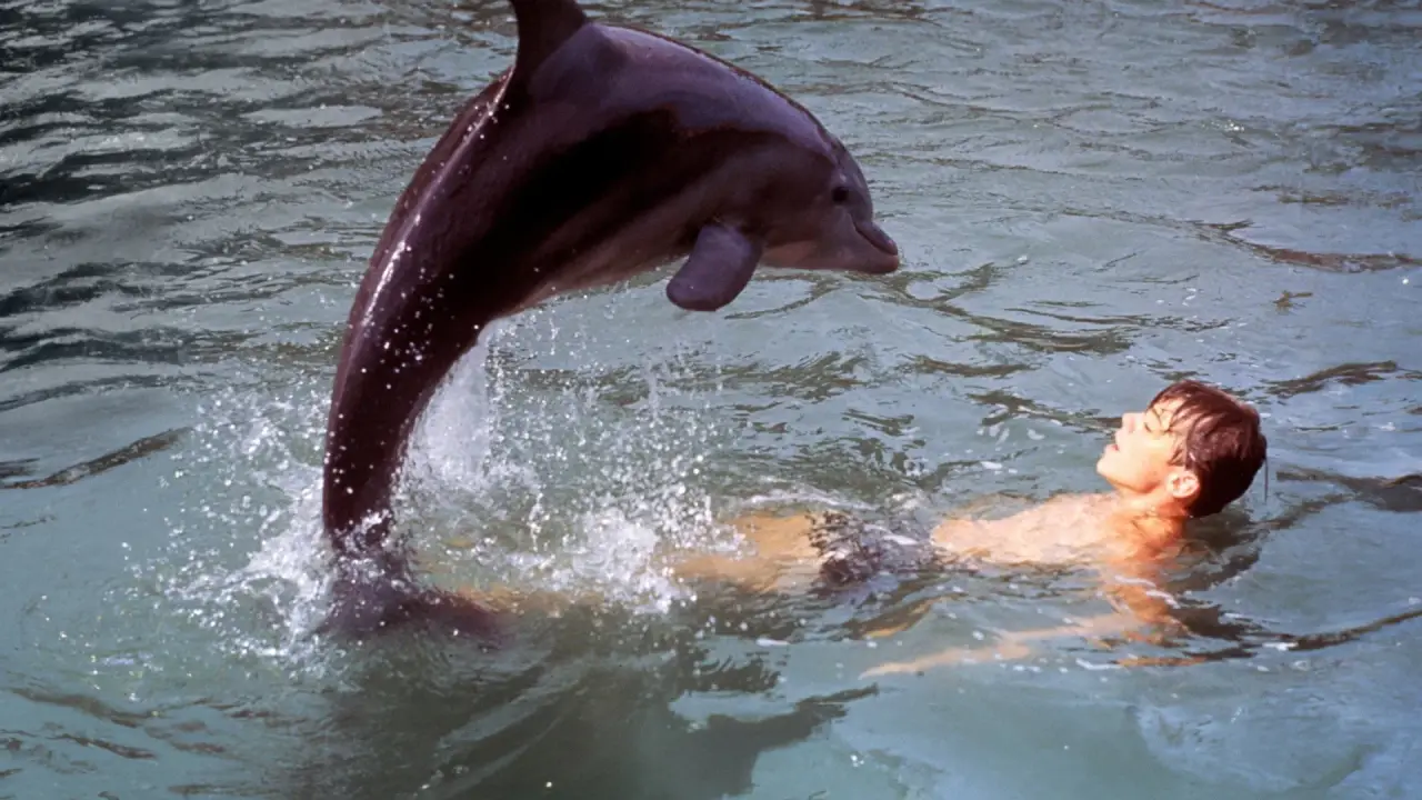 Neues Abenteuer mit Flipper hdfilme