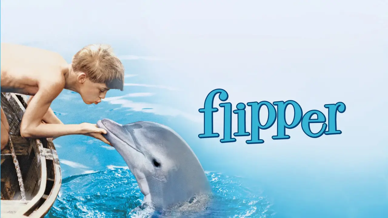 Flipper hdfilme