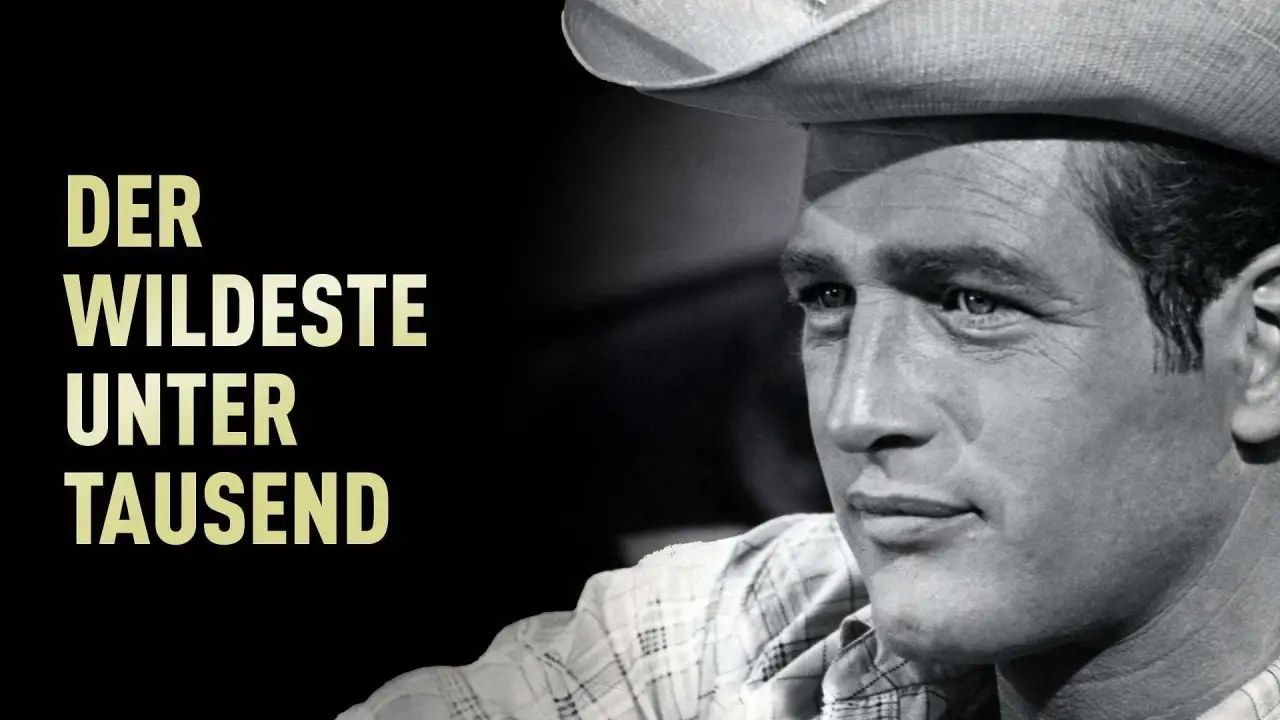 Der Wildeste unter Tausend hdfilme