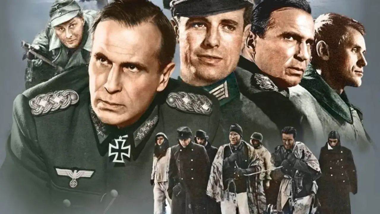 Hunde, wollt ihr ewig leben hdfilme