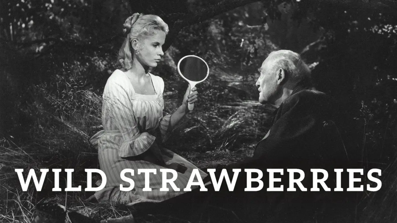Wilde Erdbeeren hdfilme