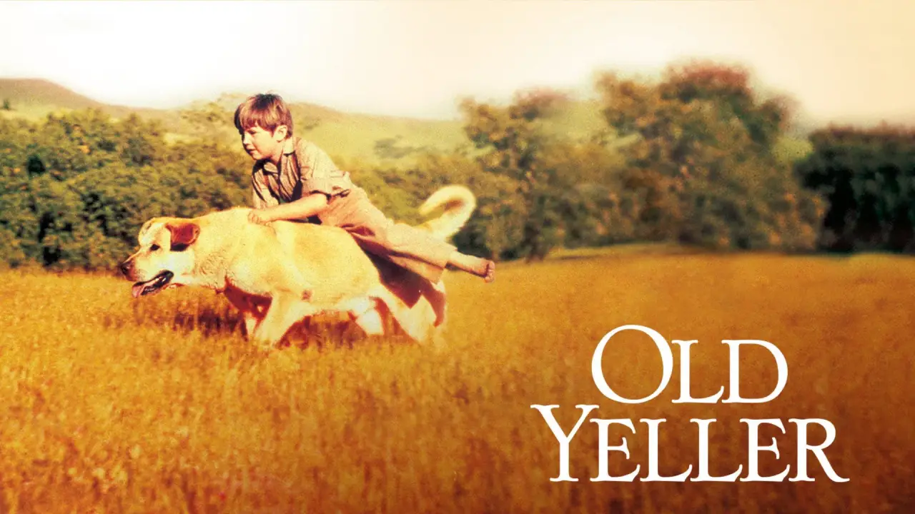 Sein Freund Jello hdfilme